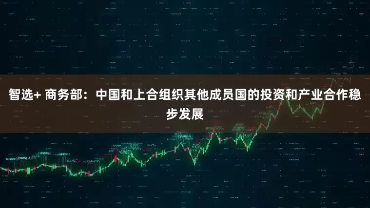 智选+ 商务部：中国和上合组织其他成员国的投资和产业合作稳步发展